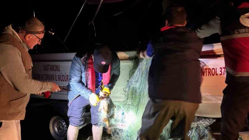 kastamonuda barajdan 2 bin 500 metre ag cikti kurtarilan 225 sazan golete birakildi HeQmEI9s