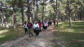 kastamonuda universite ogrencileri dogayla bulustu sehrin dogal guzelliklerini tanidi GBMmOIH6
