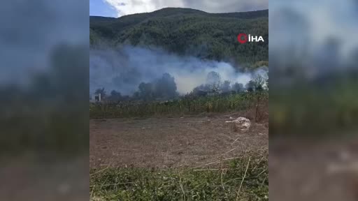 korkutan ot yangini evlere sicramadan sonduruldu BidAqgjk