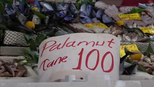 palamut bollugu tezgahlara yansidi 600 gram balik 100 lira AGcWrdGW