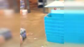 rize sel sularina teslim oldu is yerlerini su basti sokaklar gole dondu CibbByYV