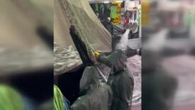 trabzonda palamut bereketi 1 eylulden bu yana bin 300 ton palamut avlandi m3ZmOXZr