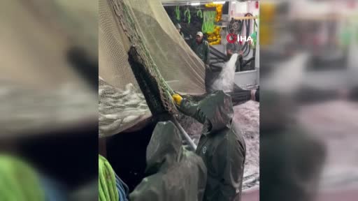 trabzonda palamut bereketi 1 eylulden bu yana bin 300 ton palamut avlandi m3ZmOXZr