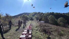 zonguldakta yaban hayatini desteklemek icin sulunler dogaya salindi BU1LE6Or