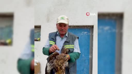 boluda sicak asfalta yapisan sahin muhtarin mudahalesiyle kurtarildi tertemiz temizledik OQXTqqC1